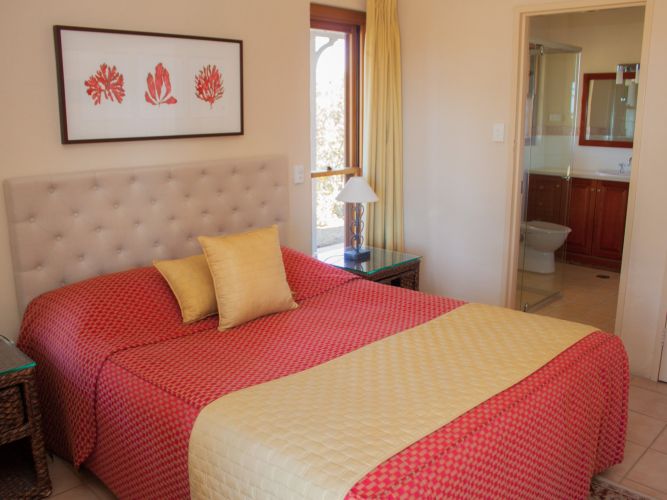 Berenbell Vineyard Retreat - Downstairs bedroom in two bedroom lodge