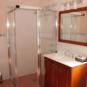 Berenbell Vineyard Retreat - Shower and Vanity unit in Cottage