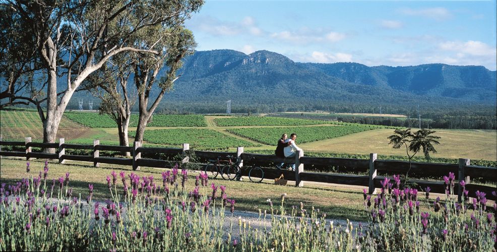 Berenbell Vineyard Retreat - The vista enjoyed by all the accommodation