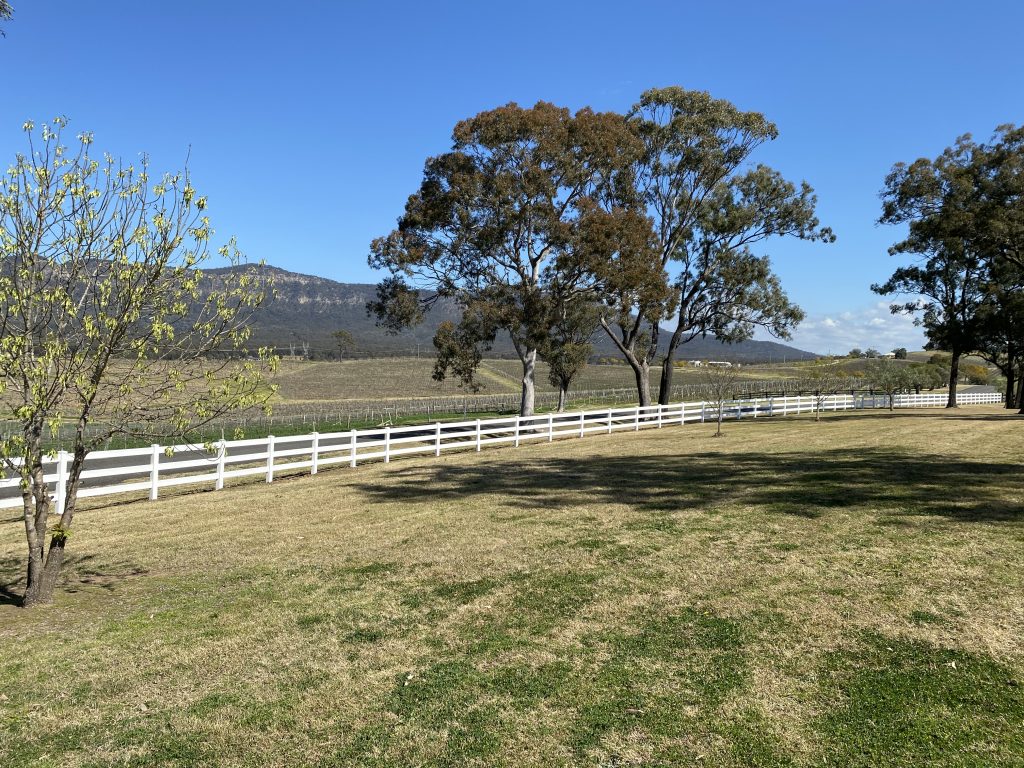 Berenbell's new white fence