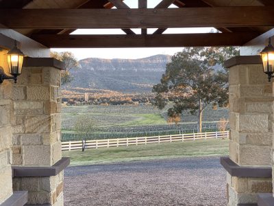 Photo 5-8-21, 5 07 25 pm Berenbell's new fence