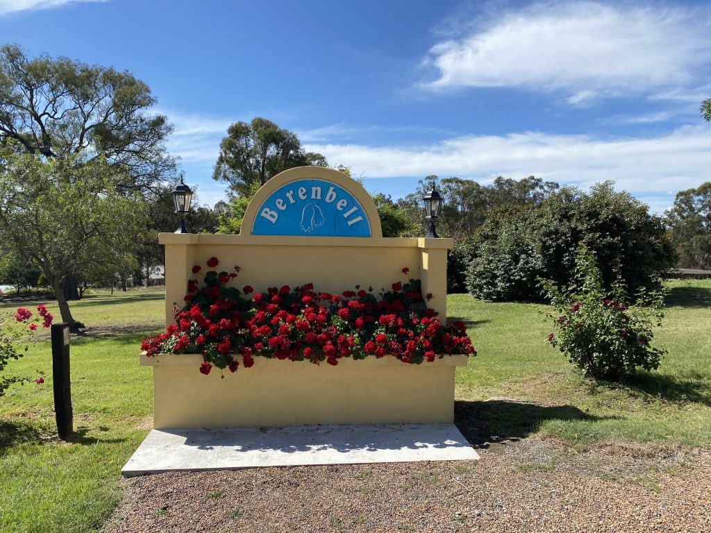 Blossoming geraniums at Berenbell