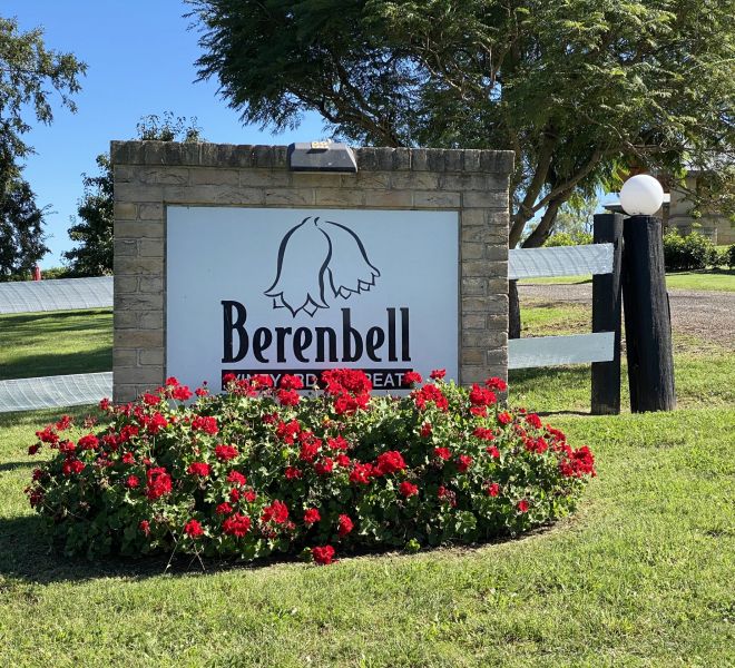 Berenbell's blossoming geraniums