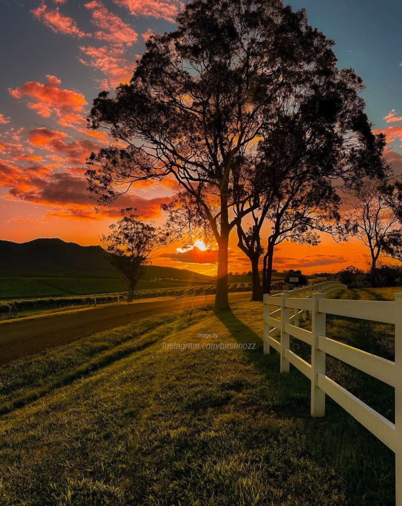 photo of an orange sunset overlooking the Hunter Valley Vineyards from Berenbell Vineyard Estate, taken by Birsen OZ