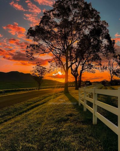 photo of an orange sunset overlooking the Hunter Valley Vineyards from Berenbell Vineyard Estate, taken by Birsen OZ